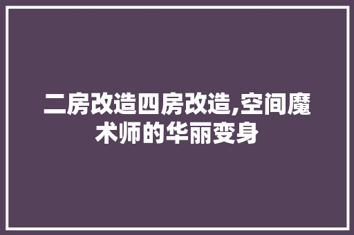 二房改造四房改造,空间魔术师的华丽变身