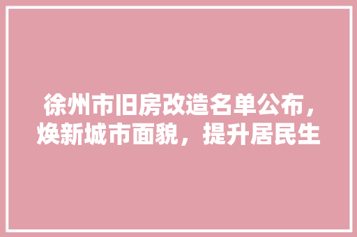 徐州市旧房改造名单公布,焕新城市面貌,提升居民生活品质 装修材料 徐州市旧房改造名单公布,焕新城市面貌,提升居民生活品质 装修材料