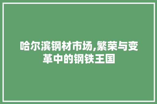 哈尔滨钢材市场,繁荣与变革中的钢铁王国