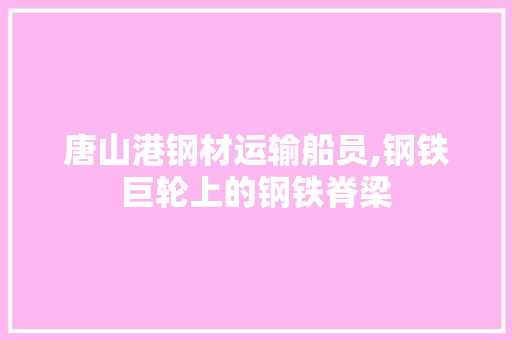 唐山港钢材运输船员,钢铁巨轮上的钢铁脊梁