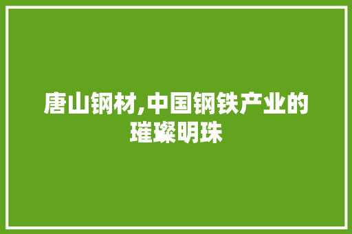 唐山钢材,中国钢铁产业的璀璨明珠