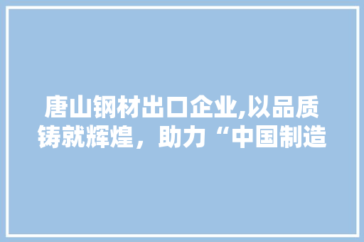 唐山钢材出口企业,以品质铸就辉煌，助力“中国制造”走向世界