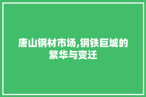 唐山钢材市场,钢铁巨城的繁华与变迁