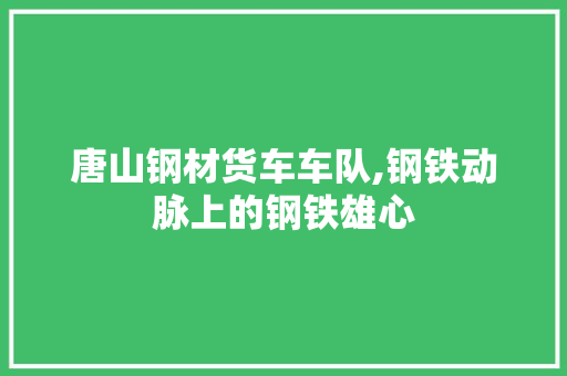 唐山钢材货车车队,钢铁动脉上的钢铁雄心