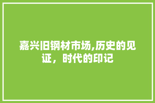嘉兴旧钢材市场,历史的见证，时代的印记