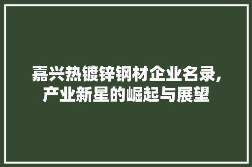 嘉兴热镀锌钢材企业名录,产业新星的崛起与展望