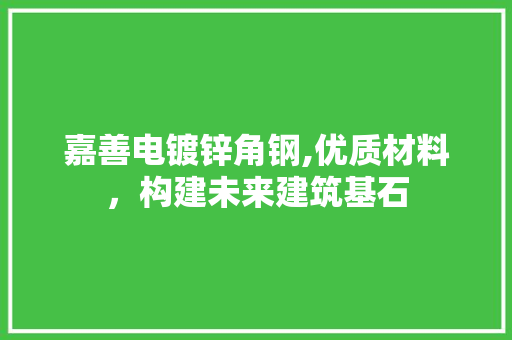 嘉善电镀锌角钢,优质材料，构建未来建筑基石