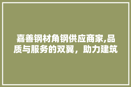 嘉善钢材角钢供应商家,品质与服务的双翼，助力建筑行业腾飞