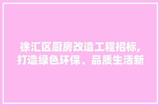徐汇区厨房改造工程招标,打造绿色环保、品质生活新典范