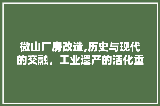 微山厂房改造,历史与现代的交融,工业遗产的活化重生 地面装修 微山厂房改造,历史与现代的交融,工业遗产的活化重生 地面装修