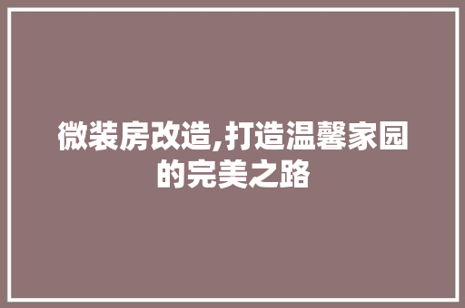 微装房改造,打造温馨家园的完美之路
