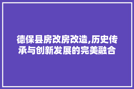 德保县房改房改造,历史传承与创新发展的完美融合 景观设计