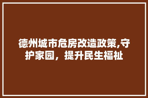 德州城市危房改造政策,守护家园，提升民生福祉
