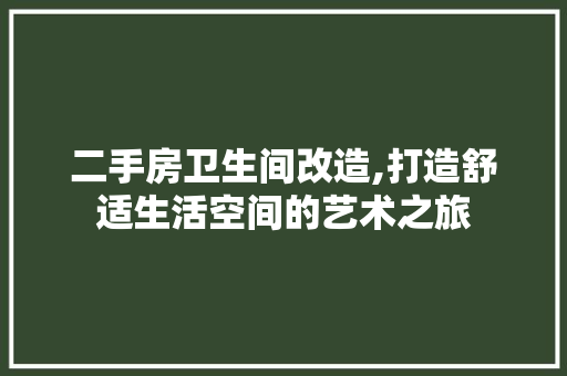 二手房卫生间改造,打造舒适生活空间的艺术之旅 装修攻略