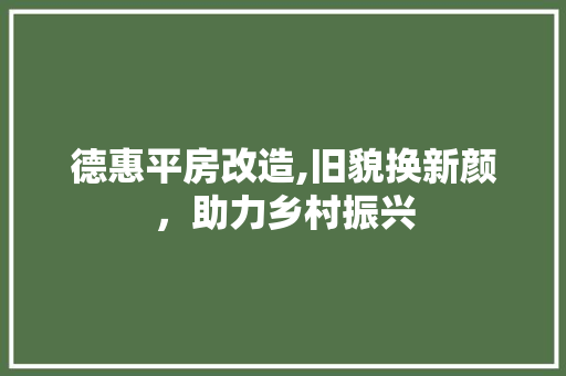 德惠平房改造,旧貌换新颜，助力乡村振兴
