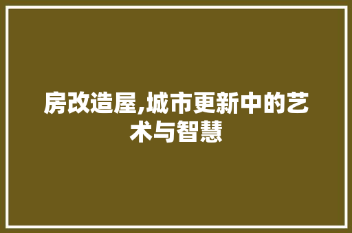房改造屋,城市更新中的艺术与智慧