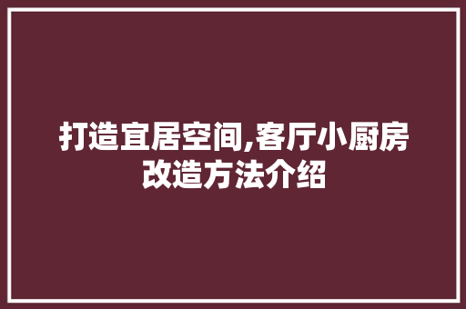 打造宜居空间,客厅小厨房改造方法介绍 隔断设计