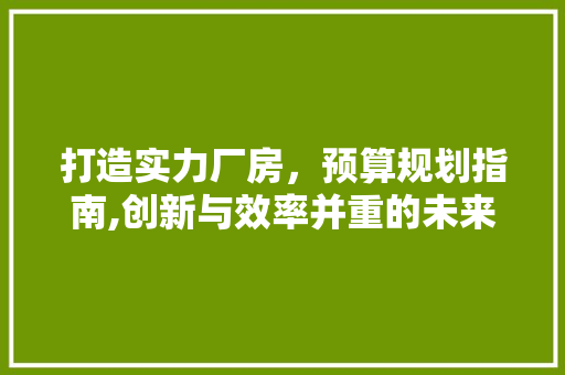 打造实力厂房，预算规划指南,创新与效率并重的未来工业布局