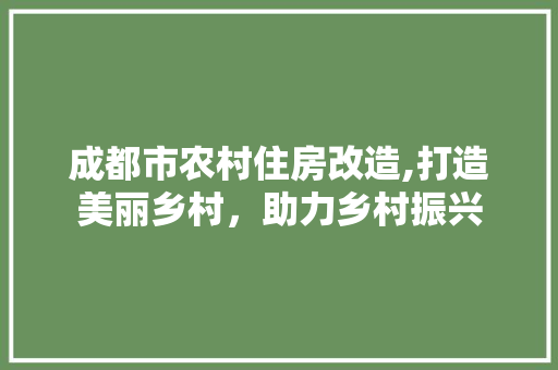 成都市农村住房改造,打造美丽乡村，助力乡村振兴