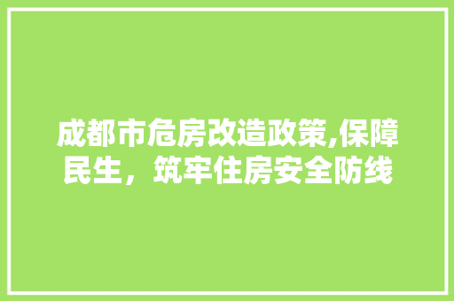 成都市危房改造政策,保障民生，筑牢住房安全防线