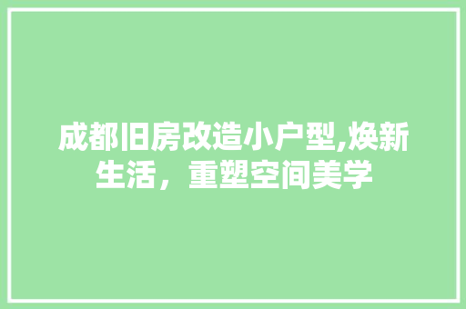 成都旧房改造小户型,焕新生活，重塑空间美学
