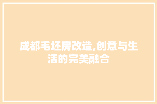成都毛坯房改造,创意与生活的完美融合