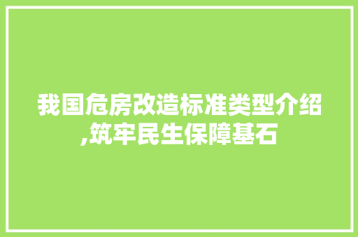 我国危房改造标准类型介绍,筑牢民生保障基石