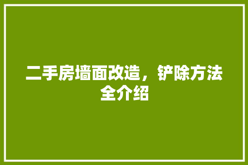 二手房墙面改造，铲除方法全介绍 隔断设计