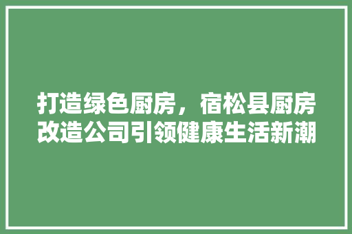 打造绿色厨房，宿松县厨房改造公司引领健康生活新潮流