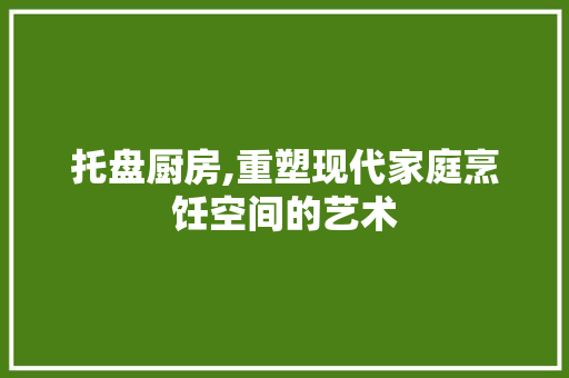 托盘厨房,重塑现代家庭烹饪空间的艺术