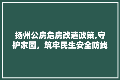 扬州公房危房改造政策,守护家园，筑牢民生安全防线