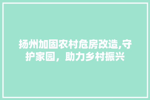 扬州加固农村危房改造,守护家园，助力乡村振兴