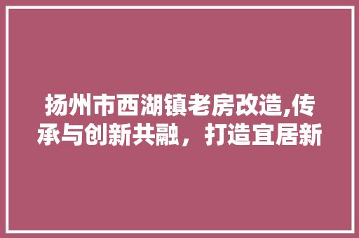 扬州市西湖镇老房改造,传承与创新共融，打造宜居新家园
