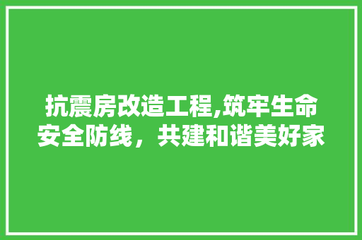 抗震房改造工程,筑牢生命安全防线，共建和谐美好家园