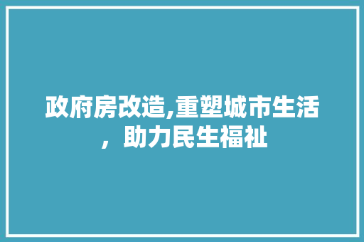 政府房改造,重塑城市生活，助力民生福祉
