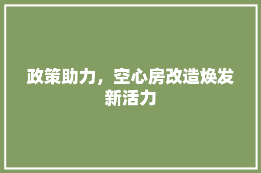 政策助力，空心房改造焕发新活力