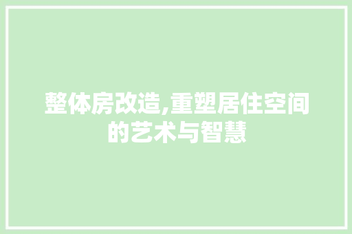 整体房改造,重塑居住空间的艺术与智慧 地面装修