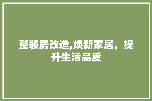 整装房改造,焕新家居，提升生活品质