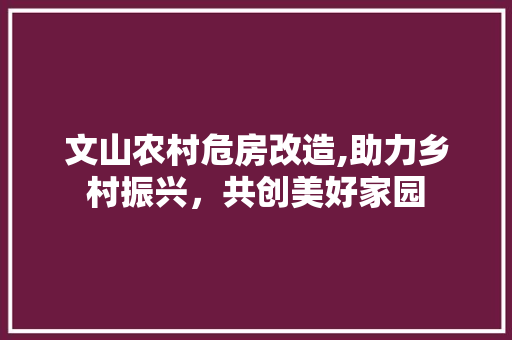 文山农村危房改造,助力乡村振兴，共创美好家园