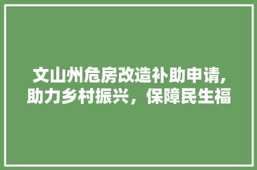 文山州危房改造补助申请,助力乡村振兴，保障民生福祉 装修材料