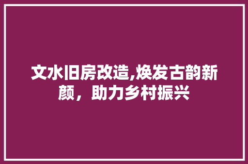 文水旧房改造,焕发古韵新颜，助力乡村振兴