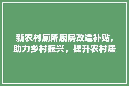 新农村厕所厨房改造补贴,助力乡村振兴，提升农村居住环境