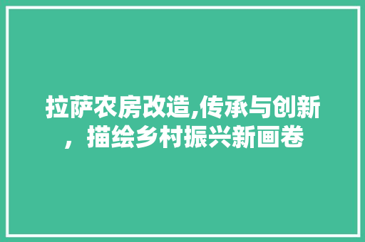 拉萨农房改造,传承与创新，描绘乡村振兴新画卷 墙面装饰