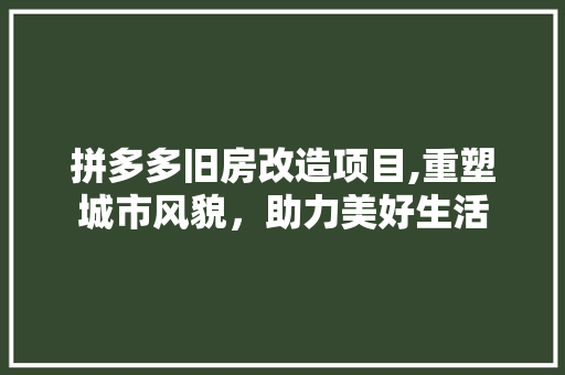拼多多旧房改造项目,重塑城市风貌，助力美好生活