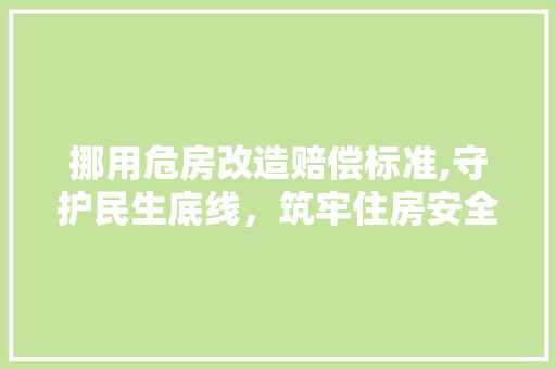 挪用危房改造赔偿标准,守护民生底线，筑牢住房安全防线 装修材料