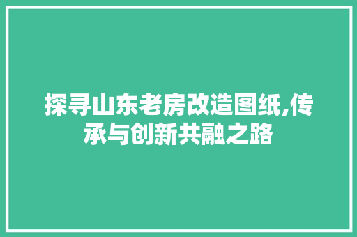 探寻山东老房改造图纸,传承与创新共融之路 墙面装饰