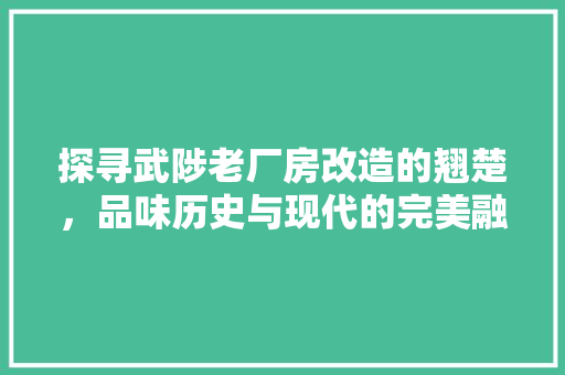 探寻武陟老厂房改造的翘楚，品味历史与现代的完美融合
