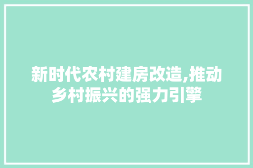 新时代农村建房改造,推动乡村振兴的强力引擎