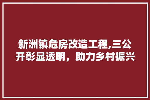 新洲镇危房改造工程,三公开彰显透明，助力乡村振兴 隔断设计