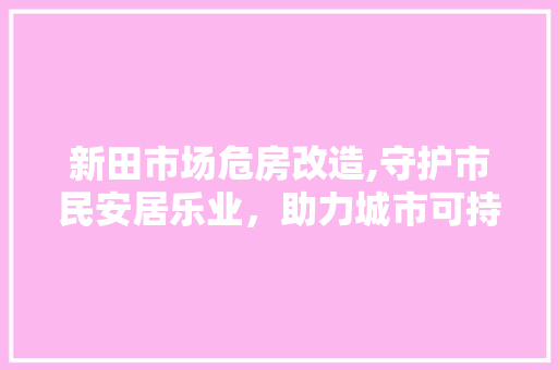 新田市场危房改造,守护市民安居乐业，助力城市可持续发展 建筑设计